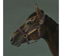 Hikari Ichihara - Brain Candy