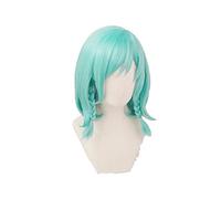 Hikawa Hina Wig Game BanG Dream! Cosplay Wig Blue Synthetic Women Hair Bandori Cosplay Hikawa Hina Costume
