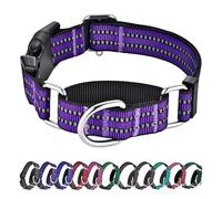 Hikiko Martingale Collier réfléchissant pour Chien en Nylon avec Boucle à dégagement Rapide réglable et antidérapant (Taille M, Violet)