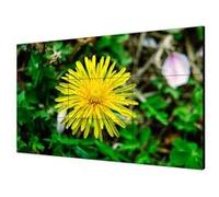 Hikvision DS-D2055LE-G - Classe de diagonale 55" Pro Series écran LCD rétro-éclairé par LED 1920 x 1080 - LED à éclairage direct G