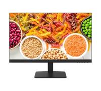 Hikvision DS-D5024F2-1V2S Moniteur FHD VA de 23,8 pouces 100 Hz