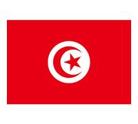 Hilai Drapeau Tunisien décoratif de Jardin, bannières nationales en Polyester pour événements Sportifs, 150x90cm, Outils de Jardin
