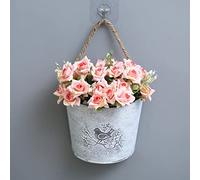 Hilai Pots de Fleurs, planteur Mural Suspendu Porte-Plante de Plante de Plante de Plante Murale Contenant du Fer Mural pour Balcon extérieur Jardin
