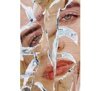 Hilarius Hofstede - The Collages