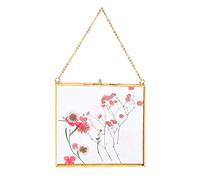 Hileyu Cadre mural en verre à suspendre pour fleurs pressées - Cadre en verre pour photos, cartes, affiches, œuvres d'art, certificats, cadre flottant (16 x 16 cm)