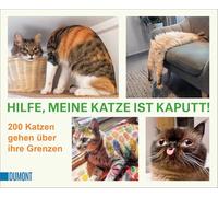 Hilfe, meine Katze ist kaputt: 200 Katzen gehen über ihre Grenzen