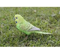 HiLine Gift Ltd. Budgerigar avec Pied en Fer Vert