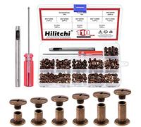 Hilitchi Lot de 110 vis Chicago en cuivre rouge avec outil d'installation (M5 x 4,5,6,8,10,12)