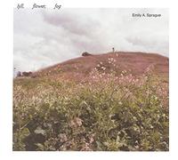 Hill, Flower, Fog (日本独自CD化/解説付き) [ARTPL-142]