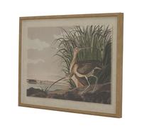 Hill Interiors - Art mural encadré FLORA & FAUNA COLLECTION (HI5174)