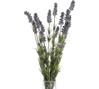 Hill Interiors Bouquet de lavande artificielle HI2193 (taille unique) (Violet/Vert)