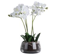 Hill Interiors - Fleur artificielle, orchidée HI3421 (taille unique) (Vert)