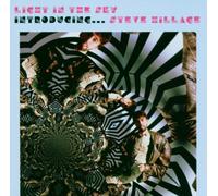 Hillage,Steve - Introducing Steve Hillage [Import]