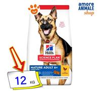 Hills Chien Science Plan Mature Adult 6+ Grandes Breed Poulet Nourriture Sec 12