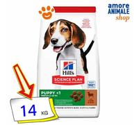 Hill's Pet Nutrition Science Plan Puppy Medium Aliment Pour Chiot Agneau Et Riz 14kg