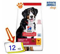 Hill's Science Plan Adult croquettes pour grand chien - 14kg au poulet