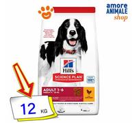 Hills Dog Science Plan Adulte Moyen Poulet Nourriture Sèche Pour Chiens 12/14 Kg