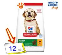 Hills Dog Science Plan Chiot Grande Race Poulet Nourriture Sèche Chiens 12 Kg