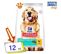 Hills Dog Science Plan Poids Parfait Grand Poulet Croquettes Pour Chiens 12 Kg