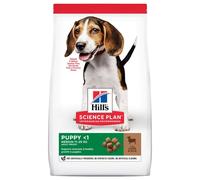 Hill's Pet Nutrition Science Plan Puppy Medium Aliment Pour Chiot Agneau Et Riz 14kg