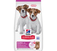 Hill's Science Plan Puppy Small & Mini Croquettes À L'Agneau et Riz Pour Chiot 6kg