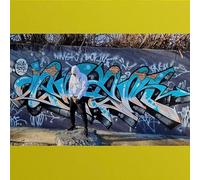 Him Lo Presents Enem - Vandal [Vinyl LP]