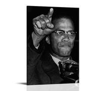 HIMGZXGWQ Civil Rights Activist Malcolm X Poster Peinture décorative sur toile Art mural pour salon, chambre à coucher, art mural, impression d'image moderne, décoration de salle familiale, 40 x 60 cm