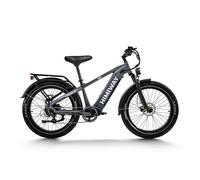 HIMIWAY D5 (ZEBRA) - Vélo Fatbike Électrique Haut de Gamme Tout-Terrain, Gris