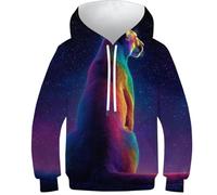 HIMKSRE Sweat-Shirt imprimé 3D for Adolescentes, Filles et garçons, Motif Animal, Sweat à Capuche, décontracté, nouveauté, Manches Longues, imprimé léopard, avec Poche, 13-15 Ans(Cheetah-3,90)