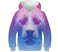 HIMKSRE Sweat-Shirt imprimé 3D for Adolescentes, Filles et garçons, Motif Animal, Sweat à Capuche, décontracté, nouveauté, Manches Longues, imprimé léopard, avec Poche, 13-15 Ans(Cheetah-1,120)