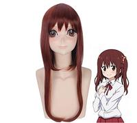 Himouto! Umaru-Chan Nanan Ebina longue droite marron Cosplay perruque 70 cm résistant à la chaleur synthétique cheveux perruques pour les femmes PL-320