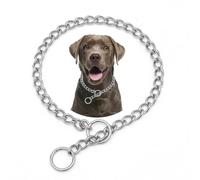 HimyBB Collier chaîne pour grands chiens argentés avec maillons coulissants XL robuste en acier inoxydable pour chiots de petite et moyenne taille.