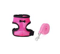 HINAYOSAN Harnais de poulet avec laisse réglable et confortable pour petit animal de compagnie pour dressage de poule, coq avec grande taille