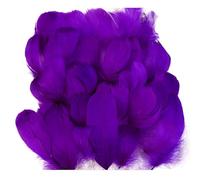 HINAYOSAN Lot de 100 breloques colorées à plumes pour projets d'artisanat Décorations naturelles pour attrape-rêves et boucles d'oreilles