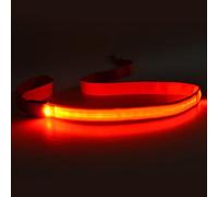 HINAYOSAN Lot de 4 laisses de chien LED rechargeables en nylon imperméable pour la marche nocturne et la visibilité pour toutes les tailles d'animaux de compagnie Laisse en nylon pour chien