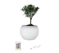 HINAYOSAN Pot de fleurs lumineux multicolore pour intérieur - Design artistique sûr avec modes d'éclairage réglables - Jardinière d'intérieur avec lumière