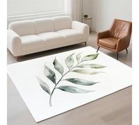 Hinnin Tapis Salon 40x60cm Blanc Tapis de Couloir Chambre Moderne Lavable Antidérapant, Doux Pile Bou Petit Carpet pour Salon, Couloir, Salle à Manger, D'Entrée, Bureau 13-1236