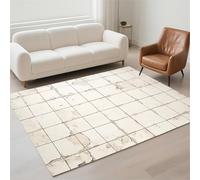 Hinnin Tapis Salon 40x60cm Square Tapis de Couloir Chambre Moderne Lavable Antidérapant, Doux Pile Bou Petit Carpet pour Salon, Couloir, Salle à Manger, D'Entrée, Bureau 13-1206