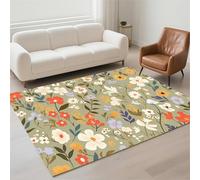 Hinnin Tapis Salon 80x150cm Retro Tapis de Couloir Chambre Moderne Lavable Antidérapant, Doux Pile Bou Grand Carpet pour Salon, Couloir, Salle à Manger, D'Entrée, Bureau 13-1004