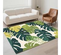 Hinnin Tapis Salon 90x150cm Plants Tapis de Couloir Chambre Moderne Lavable Antidérapant, Doux Pile Bou Grand Carpet pour Salon, Couloir, Salle à Manger, D'Entrée, Bureau 13-1178