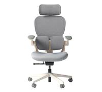 HINOMI Q2 - Fauteuil de Bureau Ergonomique, Soutien Lombaire réglable, Appui-tête réglable, Assise en Mesh, accoudoirs relevables, Dossier inclinable avec Repose-Pieds, Design élégant (Gris)