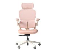 HINOMI Q2 - Fauteuil de Bureau Ergonomique, Soutien Lombaire réglable, Appui-tête réglable, Assise en Mesh, accoudoirs relevables, Dossier inclinable avec Repose-Pieds, Design élégant (Rose)