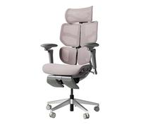 HINOMI X2 Pro Fauteuil de Bureau Ergonomique Premium - Mesh Respirable, Soutien Lombaire Réglable, Accoudoirs 6D, Inclinable 143 °, Repose-Pieds & Têtière Escamotables (Rose)
