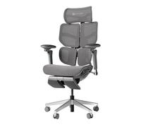 HINOMI X2 Pro Fauteuil de Bureau Ergonomique Premium - Mesh Respirable, Soutien Lombaire Réglable, Accoudoirs 6D, Inclinable 143 °, Repose-Pieds & Têtière Escamotables (Gris)