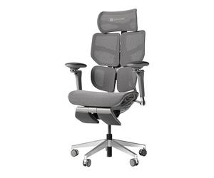 HINOMI X2 Pro Fauteuil de Bureau Ergonomique Premium - Mesh Respirable, Soutien Lombaire Réglable, Accoudoirs 6D, Inclinable 143 °, Repose-Pieds & Têtière Escamotables (Gris)
