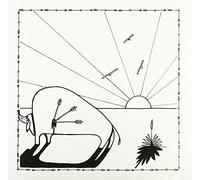Hinson, Micah P. -& Nick Phelps- - Broken Arrows