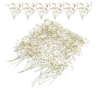 HINTRMENT Bouquet de 80 Branches de Gypsophile Séchée Blanche Naturelle, Fleurs Séchées pour Décoration de Vase, Bricolage Floral DIY pour Mariage, Fête et Décoration Nordique, Accessoire