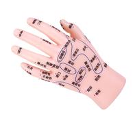 HINTRMENT Modèle D'acupuncture Affichage Précis des Points D'acupuncture en Pvc Rose Main pour Enseignement en Médecine Traditionnelle Chinoise