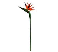 Hintyne Fleur Artificielle Oiseau De Paradis Faux Oiseaux De Paradis en Plastique Plante Strelitzia Fleur avec Longue Tige Fausses Fleurs Tropicales pour La Décoration De La Maison