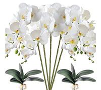 HinyoCo 5 pièces de Fleurs d'orchidées 8 têtes Phalaenopsis Artificielles avec 2 Pièces Feuille de Fleurs d'orchidées Papillon pour la décoration de la Maison (Blanc)